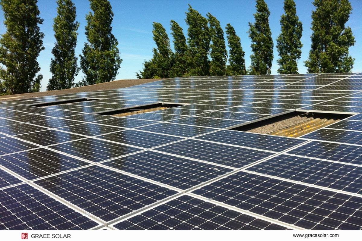 Double Column Solar Mounting System in EU Solar Farm | Grace Solar Racking